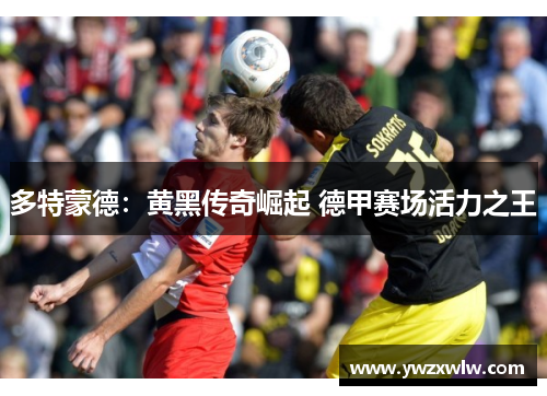 多特蒙德:黄黑传奇崛起 德甲赛场活力之王